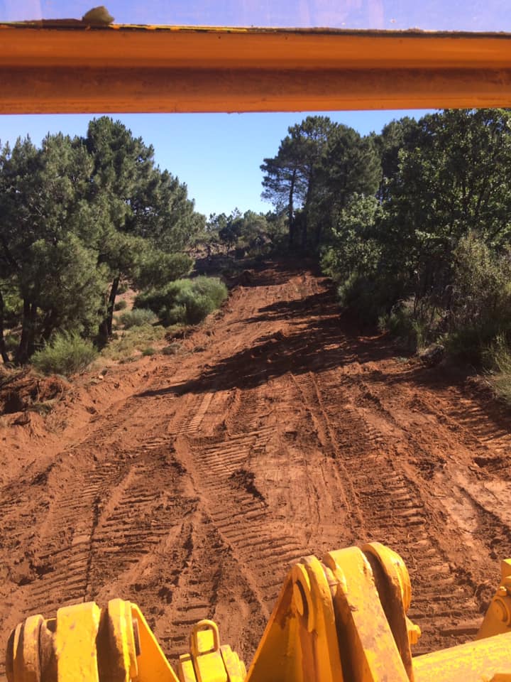 rustik servicios agroforestales